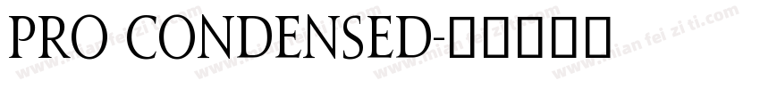 pro condensed字体转换